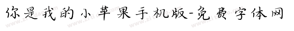 你是我的小苹果手机版字体转换