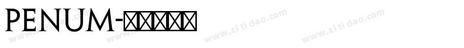 penum字体转换