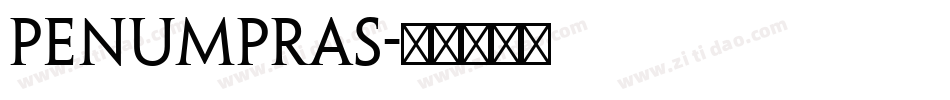 penumpras字体转换