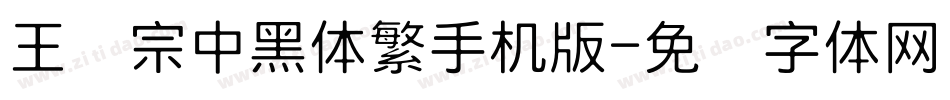 王汉宗中黑体繁手机版字体转换