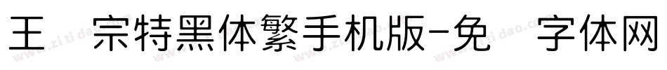 王汉宗特黑体繁手机版字体转换