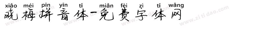 晓梅拼音体字体转换