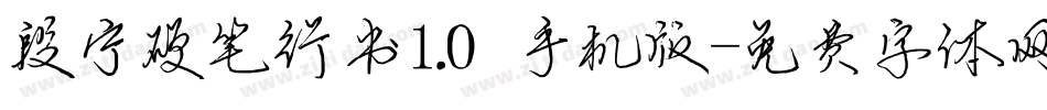 段宁硬笔行书1.0手机版字体转换
