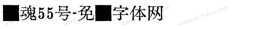 龙魂55号字体转换