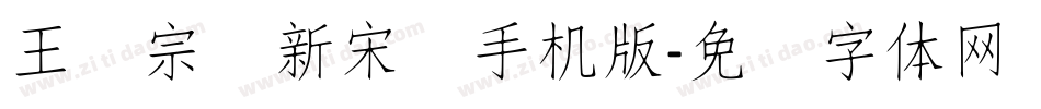 王汉宗细新宋简手机版字体转换