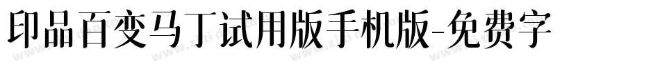 印品百变马丁试用版手机版字体转换