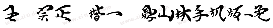 王汉宗正颜楷一钟鼎山林手机版字体转换