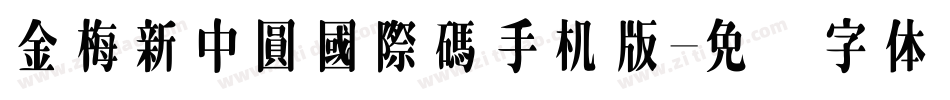 金梅新中圓國際碼手机版字体转换