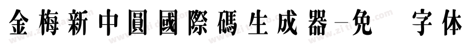 金梅新中圓國際碼生成器字体转换