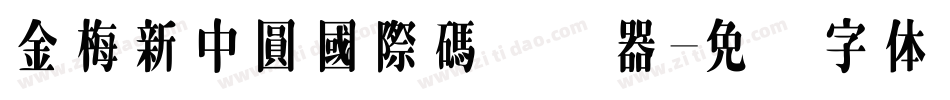 金梅新中圓國際碼转换器字体转换