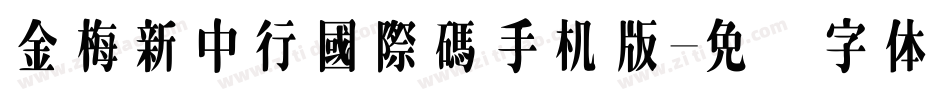 金梅新中行國際碼手机版字体转换
