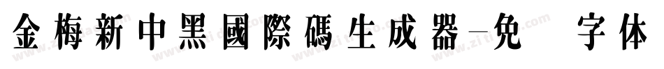 金梅新中黑國際碼生成器字体转换