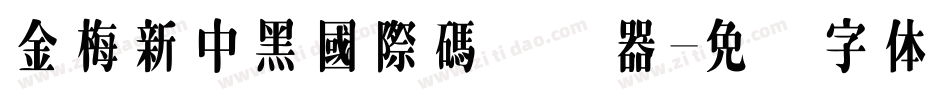 金梅新中黑國際碼转换器字体转换