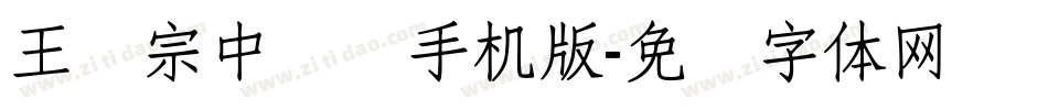 王汉宗中圆艺手机版字体转换