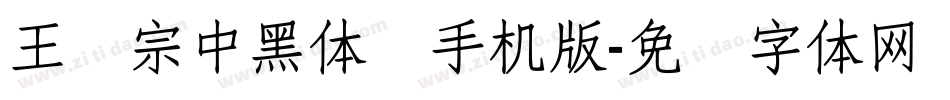 王汉宗中黑体简手机版字体转换