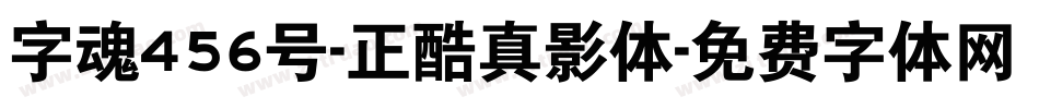 字魂456号-正酷真影体字体转换
