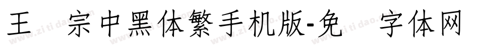 王汉宗中黑体繁手机版字体转换
