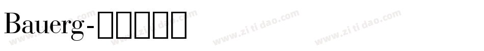 Bauerg字体转换