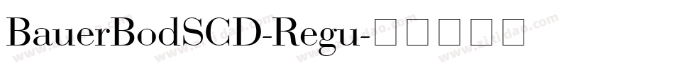 BauerBodSCD-Regu字体转换