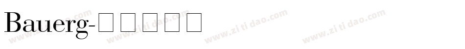 Bauerg字体转换