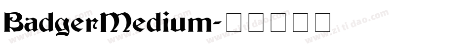 BadgerMedium字体转换
