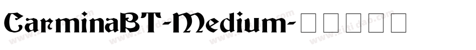 CarminaBT-Medium字体转换