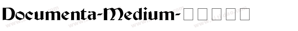 Documenta-Medium字体转换