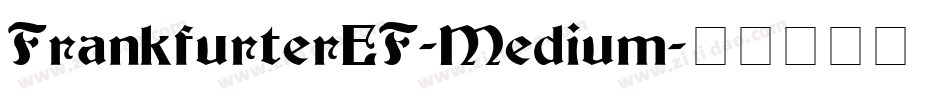 FrankfurterEF-Medium字体转换