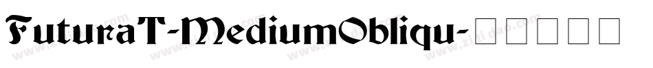 FuturaT-MediumObliqu字体转换