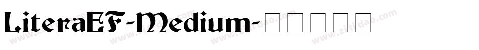 LiteraEF-Medium字体转换