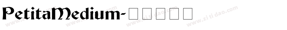 PetitaMedium字体转换