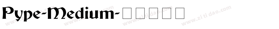 Pype-Medium字体转换