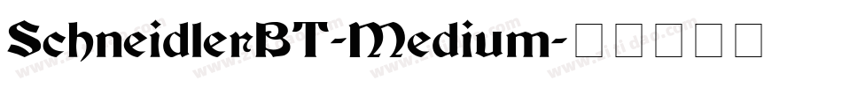 SchneidlerBT-Medium字体转换