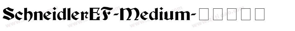 SchneidlerEF-Medium字体转换 SchneidlerEF-Medium字体转换