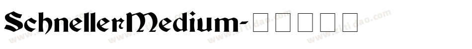 SchnellerMedium字体转换