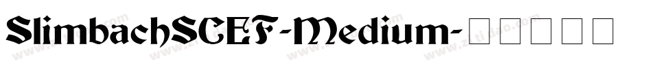 SlimbachSCEF-Medium字体转换