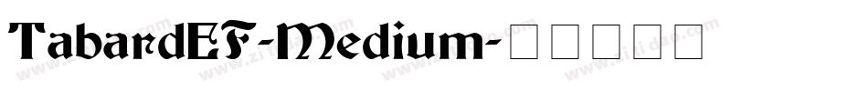TabardEF-Medium字体转换