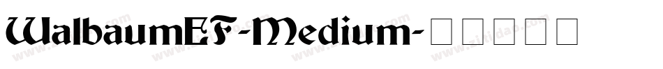 WalbaumEF-Medium字体转换