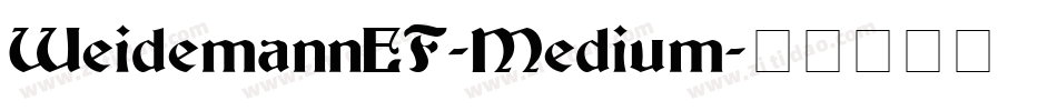 WeidemannEF-Medium字体转换