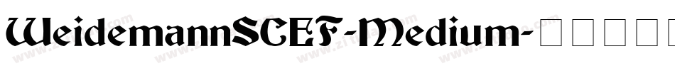 WeidemannSCEF-Medium字体转换