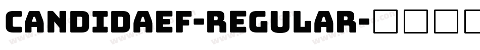 CandidaEF-Regular字体转换