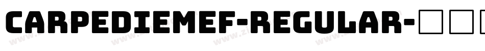 CarpediemEF-Regular字体转换