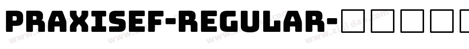 PraxisEF-Regular字体转换