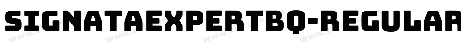SignataExpertBQ-Regular字体转换