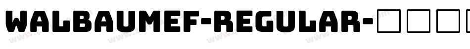 WalbaumEF-Regular字体转换