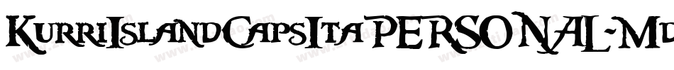 KurriIslandCapsItaPERSONAL-Md字体转换
