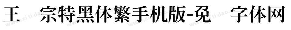 王汉宗特黑体繁手机版字体转换