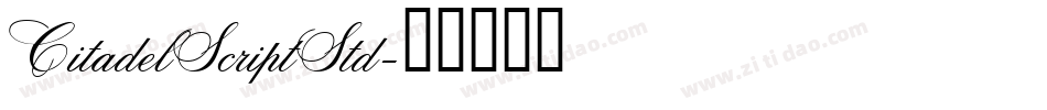 CitadelScriptStd字体转换