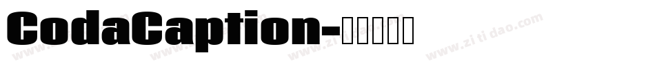 CodaCaption字体转换