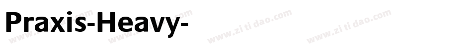Praxis-Heavy字体转换